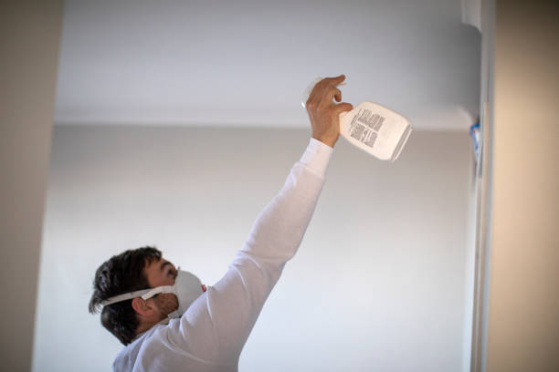 Best Black Mold Remediation in Bartlett, TX
