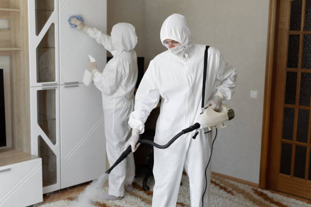 Professional Mold Remediation in Bartlett, TX