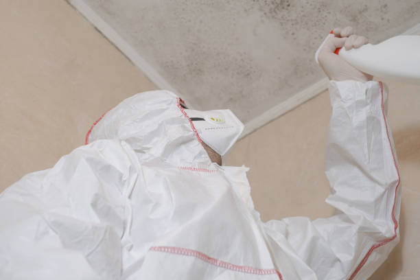 Best Commercial Mold Remediation in Bartlett, TX